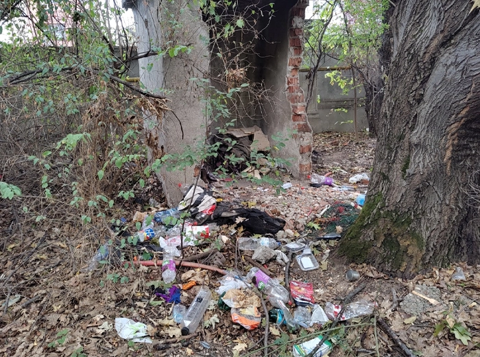 actiuni-ecologizare-romania-voluntariat