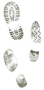 steps