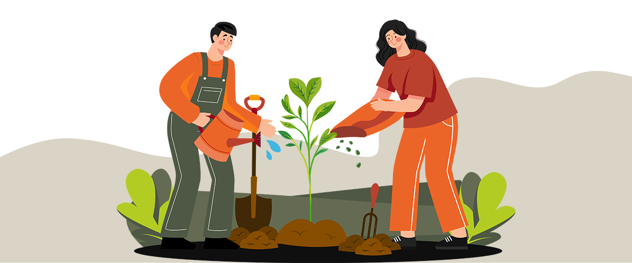 ctiune-plantare-copaci