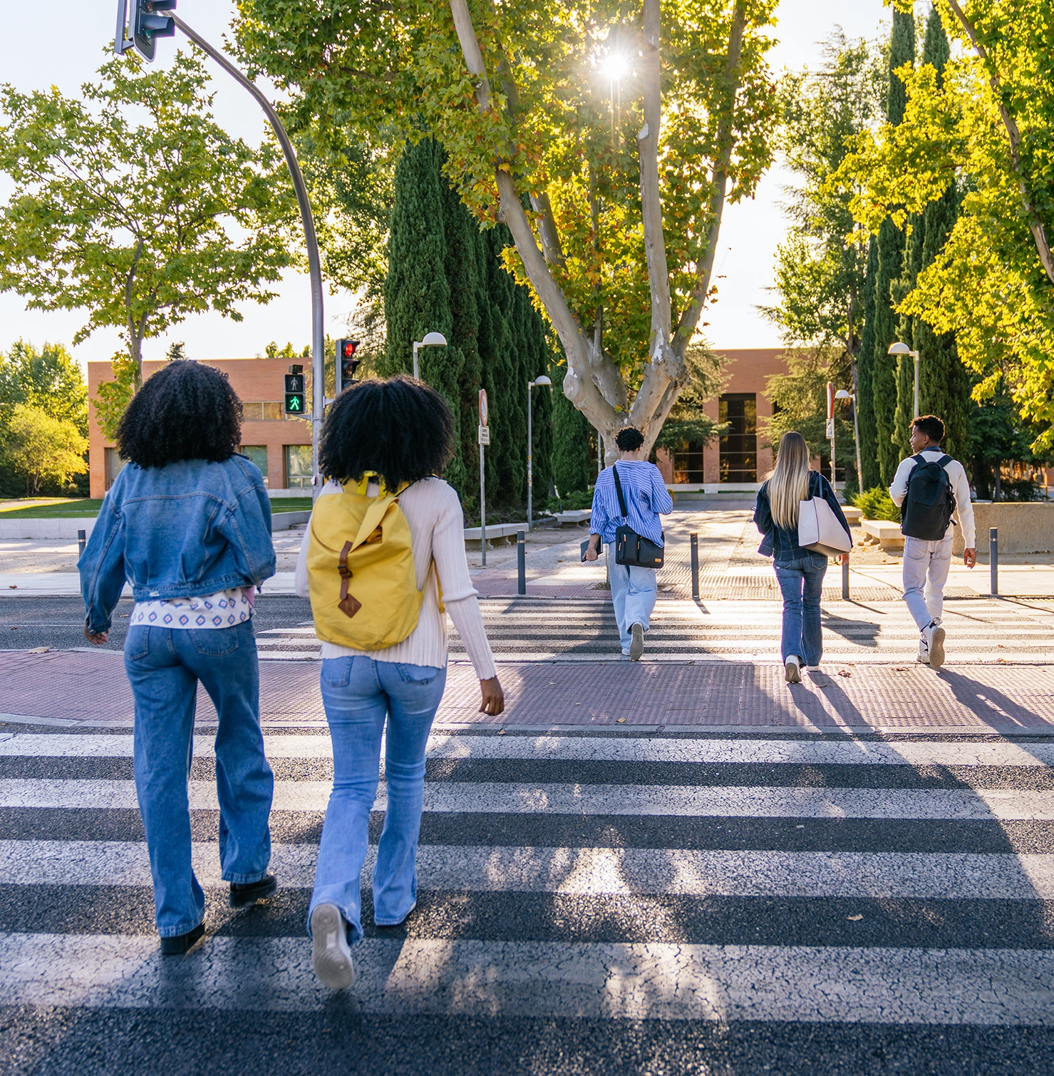 traversare-perpendicular-pe-axa-drumului