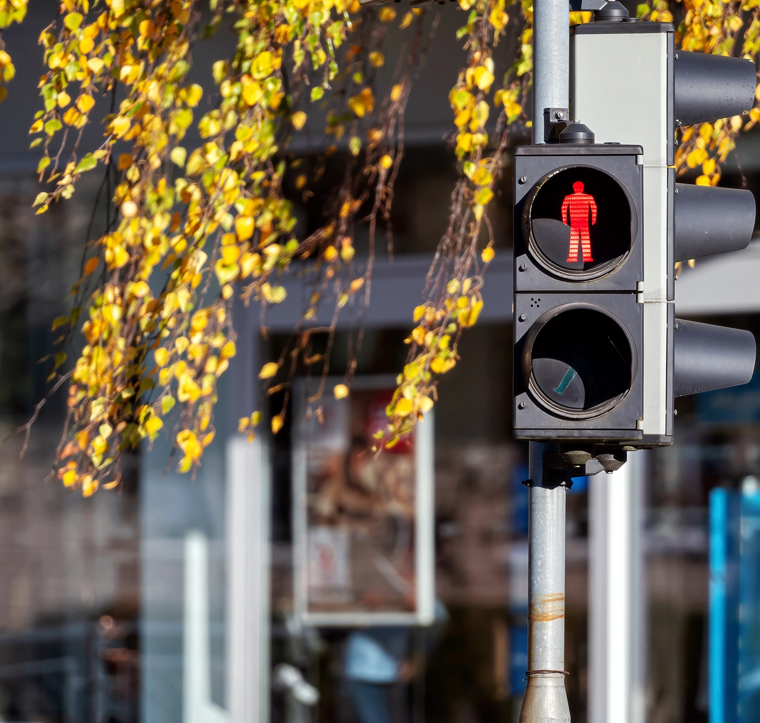 semafor-rosu-stop-trecere-pietoni