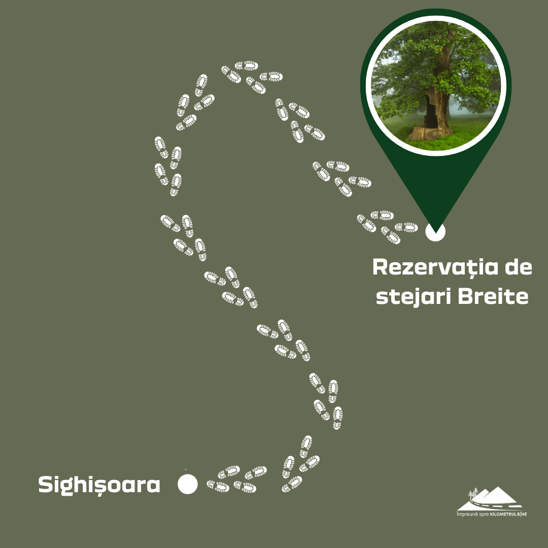 traseu-montan-1